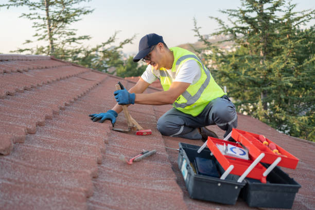 Best Metal Roofing Contractor  in Portsmouth, OH